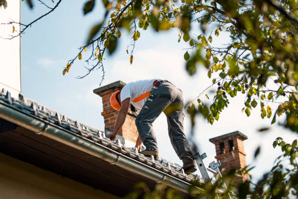 Professional Roofing Contractor in Atwood, IL